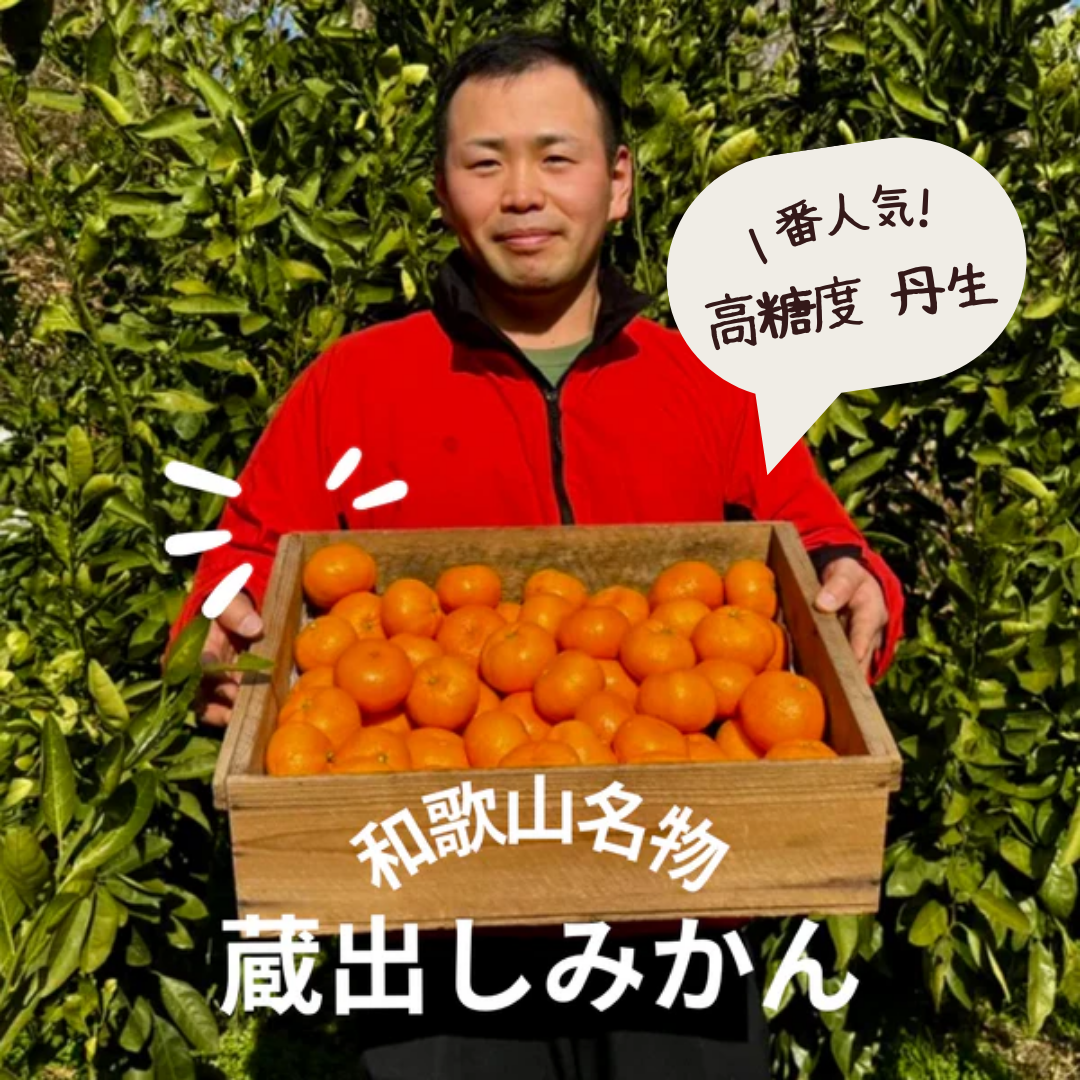 ■和歌山産 蔵出しみかん 混合サイズ 箱込み20キロ■ 土井農園】和歌山県海南市下津町のわけあり蔵出しみかん約5kg【サイズ