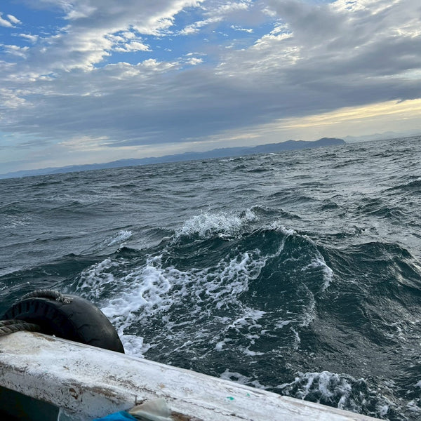 漁師の干物７種セット！箕島漁港の紀州金比羅丸からお届け