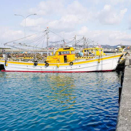 漁師の干物７種セット！箕島漁港の紀州金比羅丸からお届け