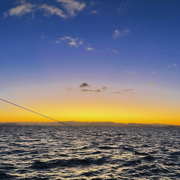 漁師の干物７種セット！箕島漁港の紀州金比羅丸からお届け