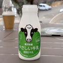【放牧育ちノンホモ牛乳】黒沢牧場のやさしい牛乳（毎週月・金発送）