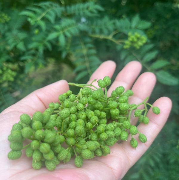 ミル付き！有田川町なもふ山椒農園のぶどう山椒（ホール 15g）
