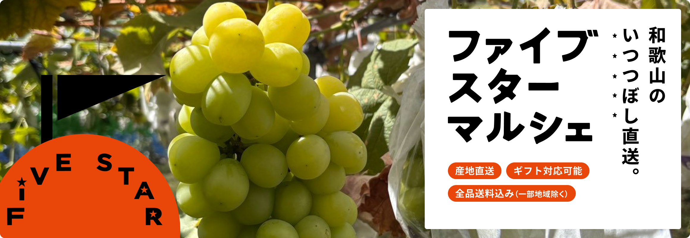 和歌山のいつつぼし直送便 ファイブスターマルシェ 全品送料込み 産地直送でお届け ギフト対応可能
