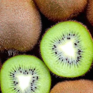 届いてから育てるAOKI FARMのキウイフルーツ 3kg