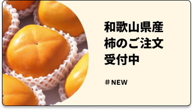 和歌山県産_柿