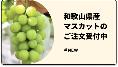 和歌山のシャインマスカットが旬！ご注文はこちらから