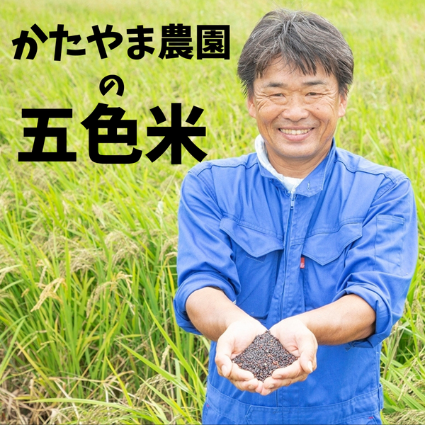 かたやま農園の自然栽培の5色米(古代米・玄米・山田錦）600g~