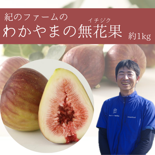 お取り寄せ 紀のファームのイチジク 約1kg(12玉入)