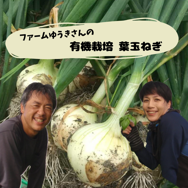 ファームゆうきの有機栽培葉玉ねぎ　1kg