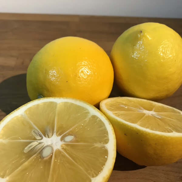 AOKI FARM＆DELIのマイヤーレモン2kg~