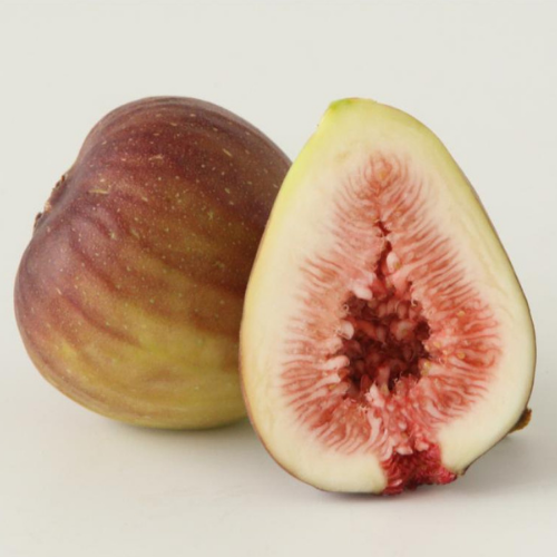 お取り寄せ 紀のファームのイチジク 約1kg(12玉入)