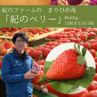 【贈答用】紀のファームのまりひめ苺「紀のベリー」 400g