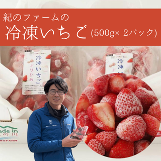 紀のファームの冷凍苺（まりひめ）500g×2パック