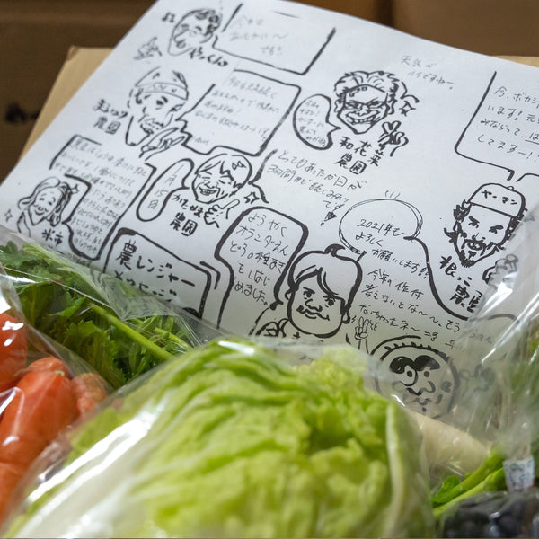 【定期便（隔週）】紀州農レンジャー野菜BOX_Wサイズ！