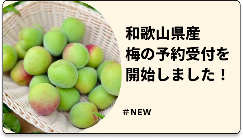 和歌山県産南高梅、珍しい露茜や無農薬梅はコチラから！