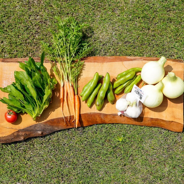 SKYSEA農園 春の野菜BOX1.5kg