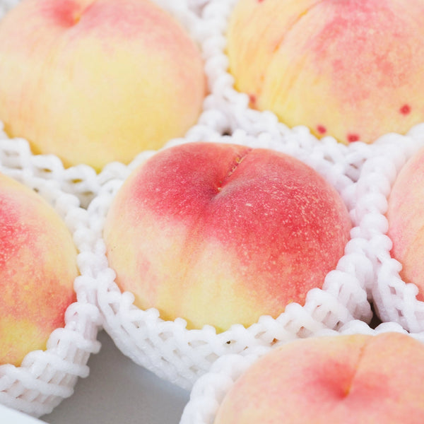 【ご家庭用】糖度13度以上保証!甘っ!感動もも *7月発送開始